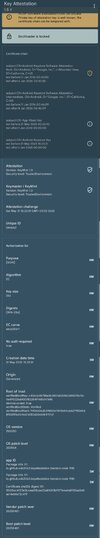 Screenshot_2025-05-31-15-23-40-879_io.github.vvb2060.keyattestation-edit.jpg