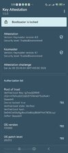 Screenshot_2025-07-05-03-51-29-510_io.github.vvb2060.keyattestation.jpg