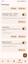 Screenshot_2025-08-03-20-20-27-236_me.bmax.apatch.jpg